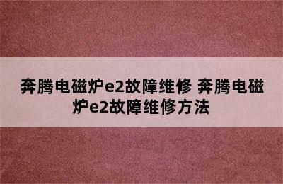 奔腾电磁炉e2故障维修 奔腾电磁炉e2故障维修方法